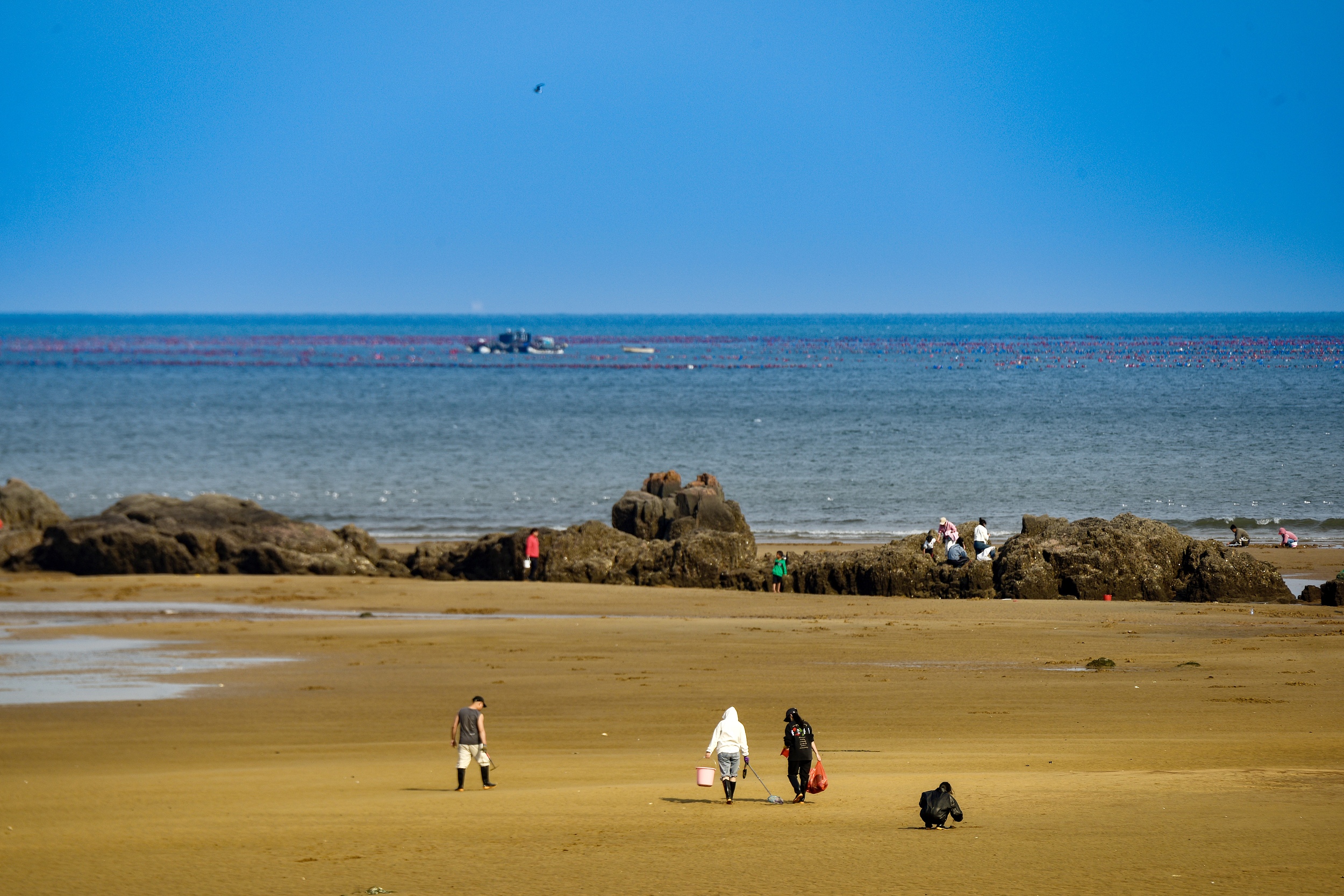 Tsingtao Coastline